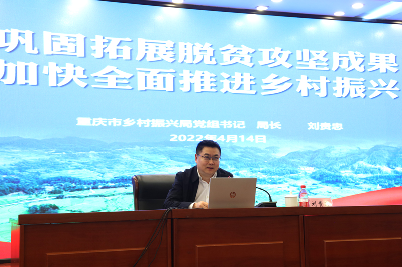 DQpf_1650353118489071500.jpg 3.jpg