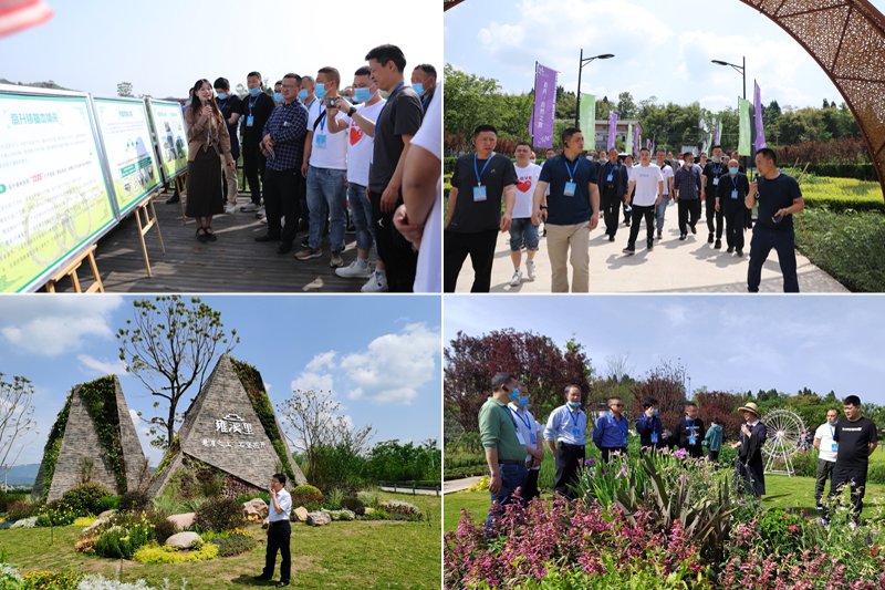 kOLP_1650353165461025586.jpg 5.jpg