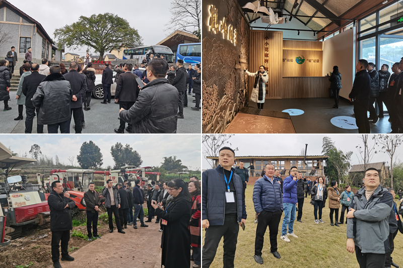 kMEL_1677481383246023994.jpg 4.jpg