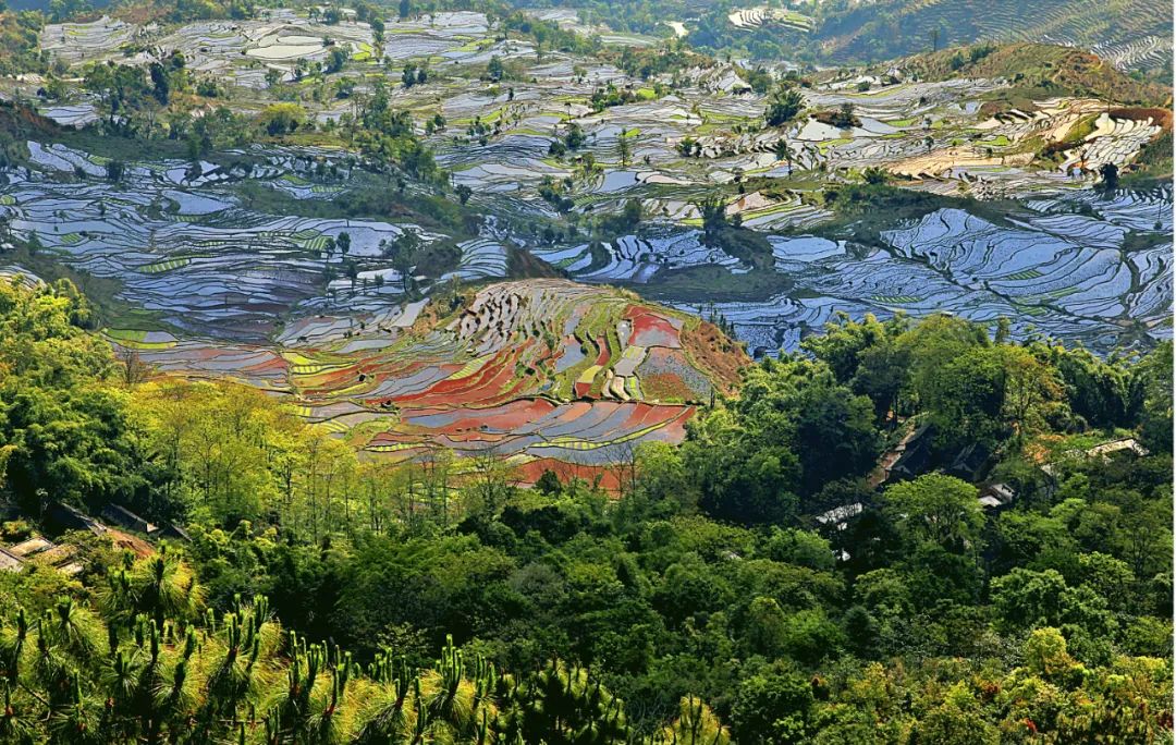 OcCv_1681722789875099301.jpg 5.jpg