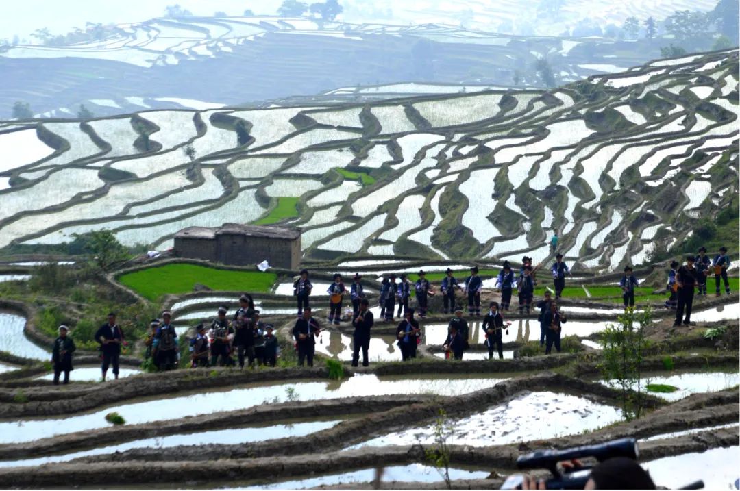 oSTK_1681722757472013509.jpg 3.jpg