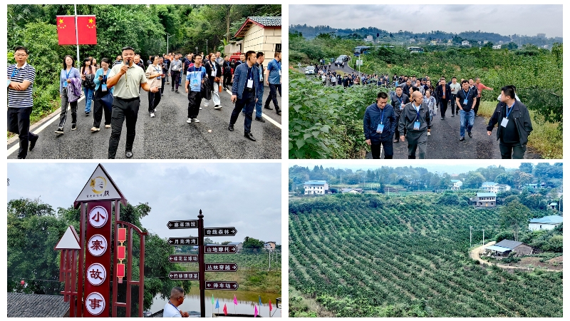 MusK_1696995664012089272.jpg 1.jpg