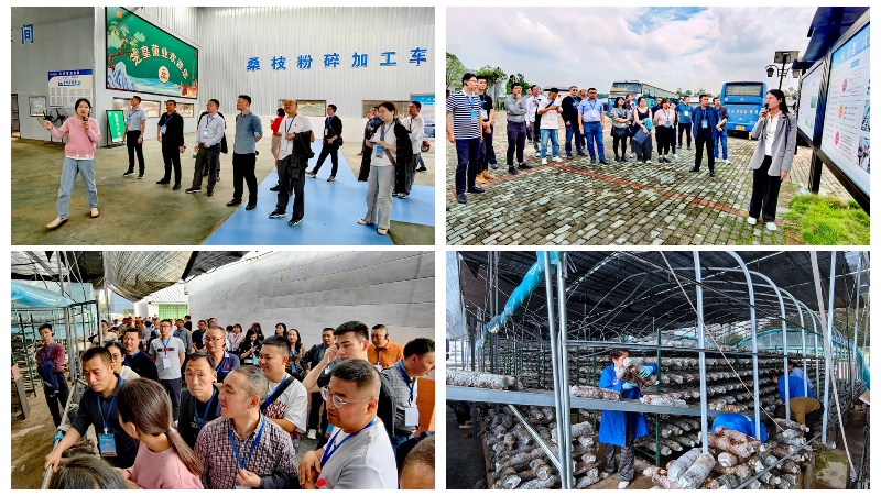 yHLN_1696995672637002483.jpg 2.jpg