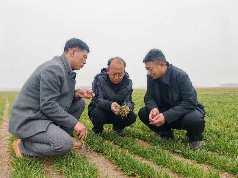 PjDq_1743664907154089995.jpg 222.jpg