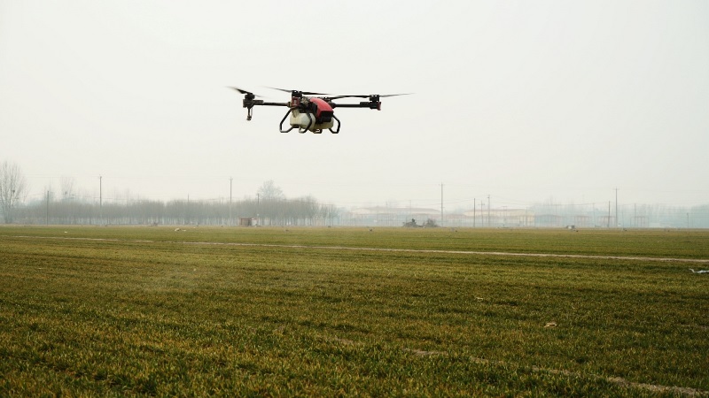 dlEB_1743664894301017908.jpg 111.jpg