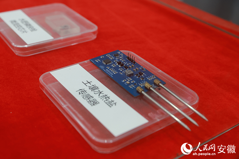 MYRI_1744707347842064810.jpg 3.jpg