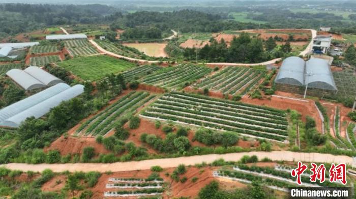 oJck_1745897128153098774.jpg W020250425653866139178.jpg