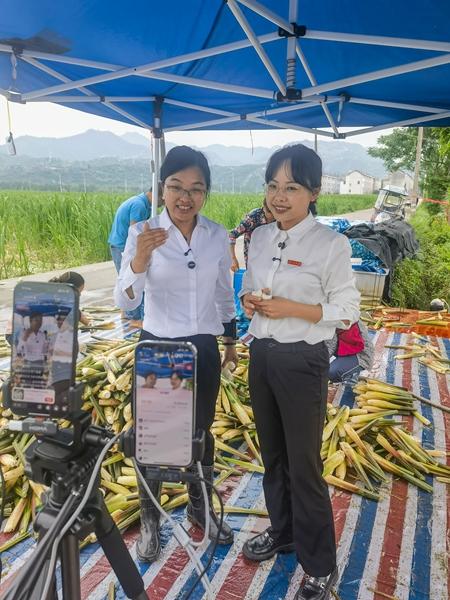 cmQu_1750148988771076196.jpg 2.jpg